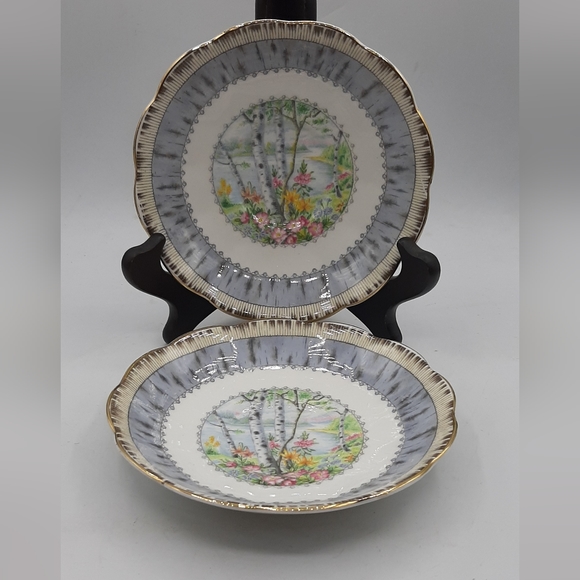 Royal Albert Bone China Set of 2 Silver Birch Saucer Plate  5.5" Made In England - Picture 1 of 10